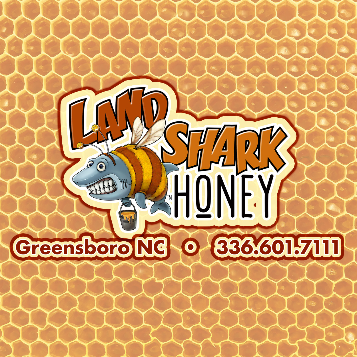 Homepage